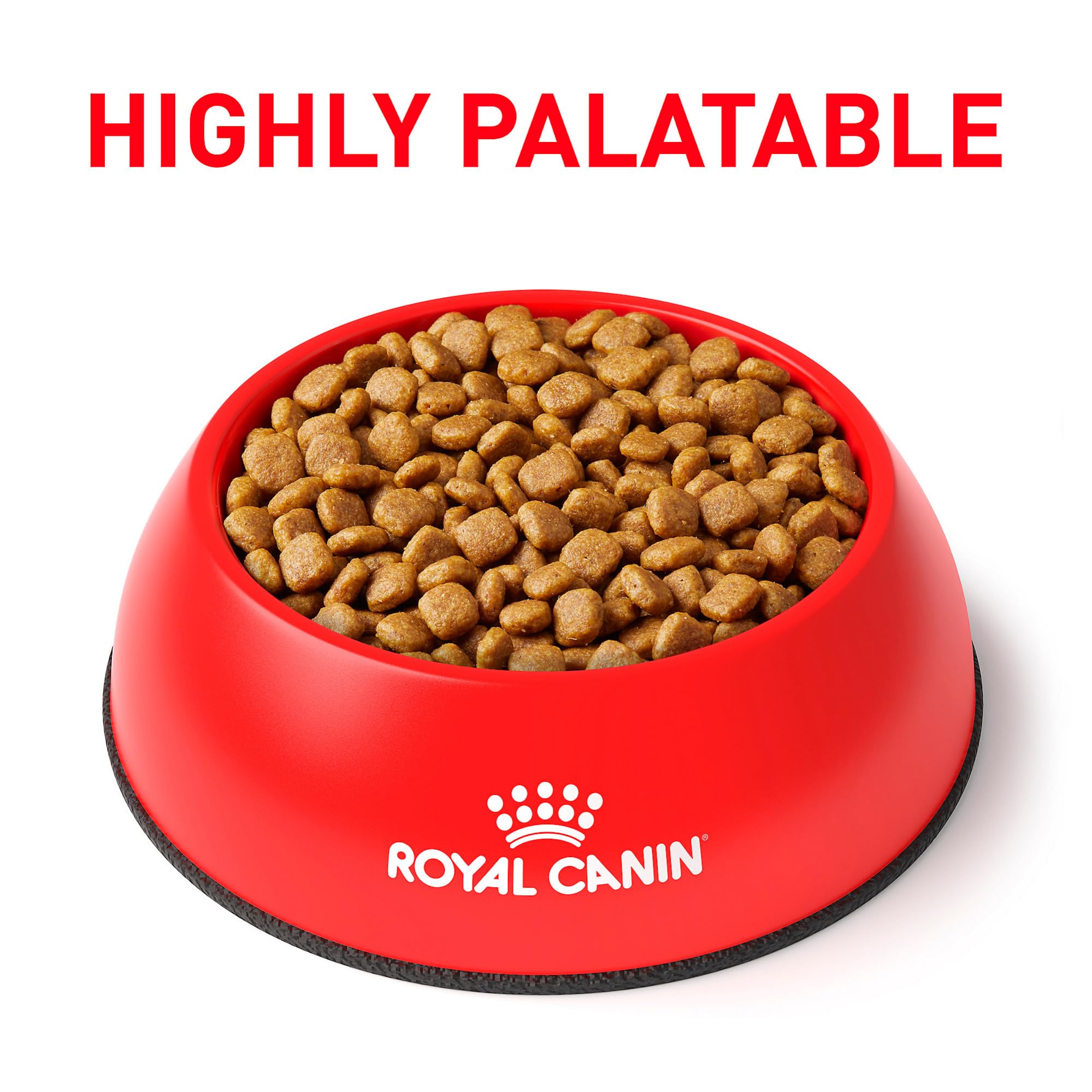 ROYAL CANIN Veterinary Diet Canine Renal Support A Adult Dry Dog